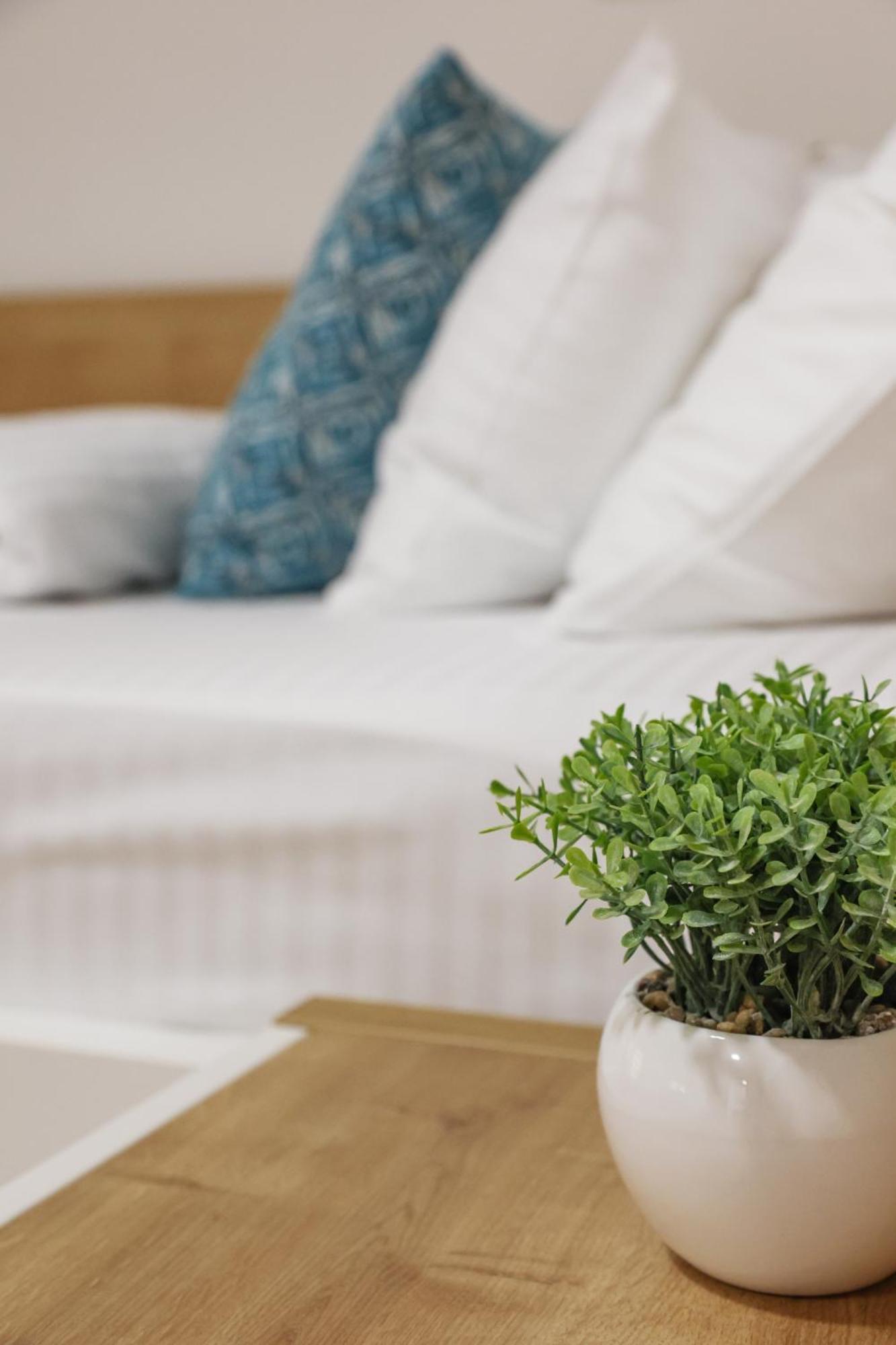 Čačak Grand Park Rooms & Apartments מראה חיצוני תמונה
